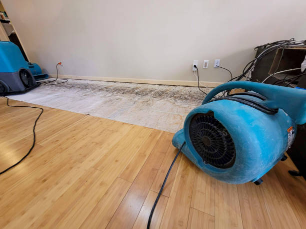 Professional Sewage Cleanup technician working in Beverly Hills, CA